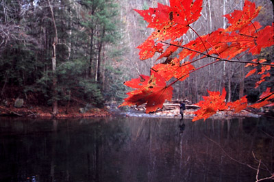 Autumn Scene on the Stream, Great Smoky Mountains National Park, North Carolina