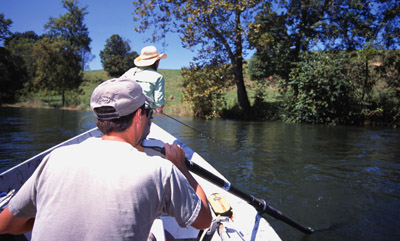 Streamer Fishing
