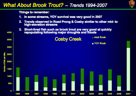 Brook Trout Population Graph for Cosby Creek, GSMNP