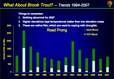 Brook Trout Population Graph for Road Prong, GSMNP
