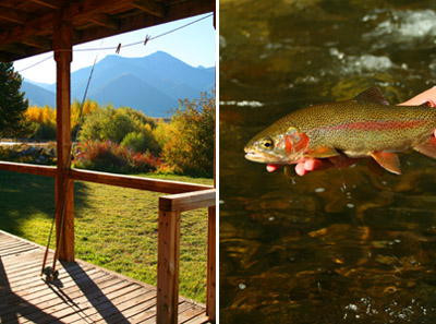 Slide Inn and Madison River Rainbow trout