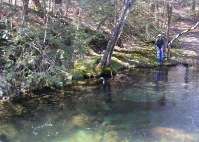 Ian Rutter Fly Fishing on Little River, Great Smoky Mountains