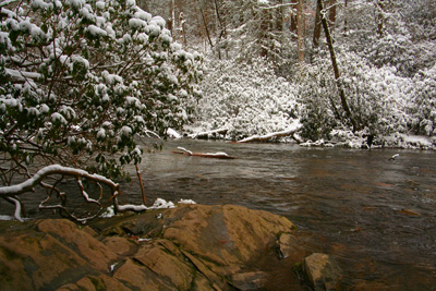 Snowy Stream in GSMNP