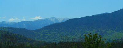 Spring in the Smoky Mountains