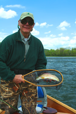 Holston River rainbow trout