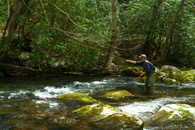 Fly Fisher in the Smoky Mountains