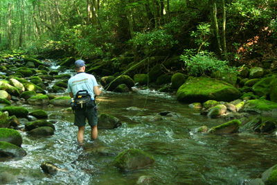 Fly fishing the Smoky Mountain back country