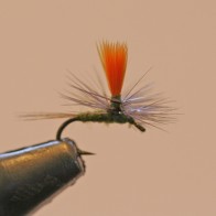 Hi-VisBWO