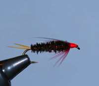 Prince Nymph