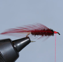 Prince Nymph, Step 6