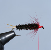 Prince Nymph, Step 7