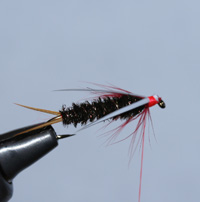 Prince Nymph, Step 8