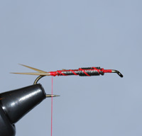 Prince Nymph, Step 2
