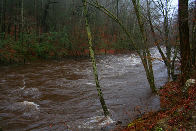 High Water on Little River 12-12-08