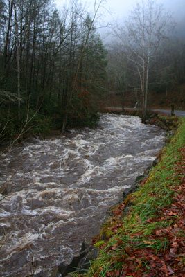 Hig Water on Little River 12-12-08