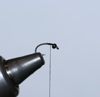 Tying Skull & Bones, Step 1