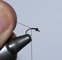 Tying Skull & Bones, Step 2