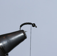Tying Skull & Bones, Step 3