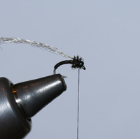 Tying Skull & Bones, Step 6