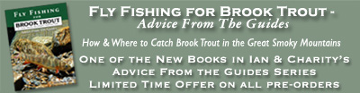 brooktroutbkbannerad brooktroutbkbannerad