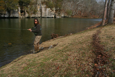 Charity prepares to wade in. Notice the high watermark on the right from last week's minor flood.