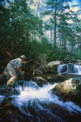 Use stealth on the water Move slowly on the water and cast from a position where trout won't notice you.