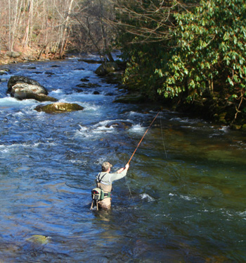 Doug Sanders fly fishing Little River, Great Smoky Mountains Doug Sanders stays true to the dry fly on Little River