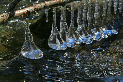Yup, the water is cold at Tremont