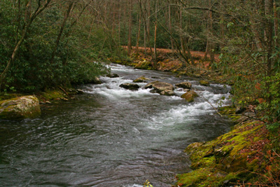 Water levels were a little high, but clearly fishable today after several days of rain.