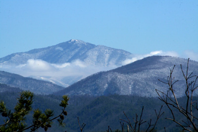 View of Mount LeConte from Townsend