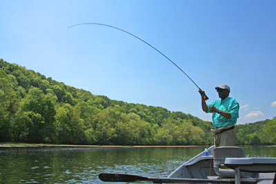 michaelkennedyhookedup Michael Kennedy hooked up with a nice fish hooked on a dry fly from the drift boat