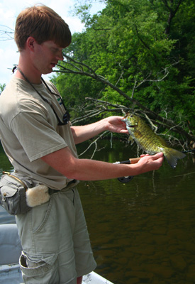 Pigeon River Smallmouth Bass Caleb Abramson with only one of many nice fish he caught today