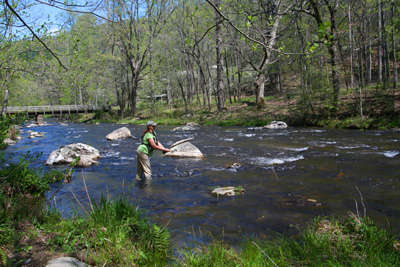 charity on hazel creek Charity fishes Hazel Creek about 1/4 mile upstream of camp