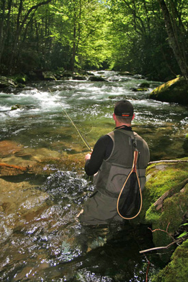 smokymtnbackcountryfishing All alone several miles up the trail