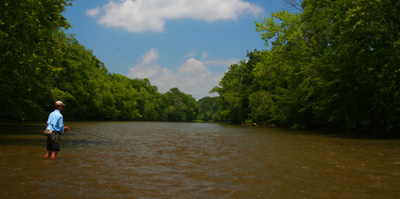Fly fishing the Pigeon River in Tennessee Wading a long riffle on the Pigeon River