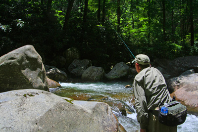 Mike Bryant casts a dry fly in a Smoky Mountain brook trout stream