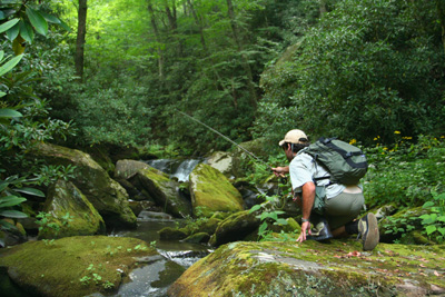 Ian Rutter fly fishes for brook trout in the Smokies