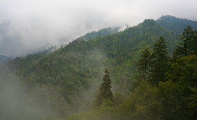 A cool, damp weekend in the Smokies