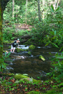 Charity fishing on Palmer Creek