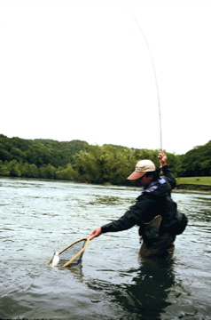 Clinch River