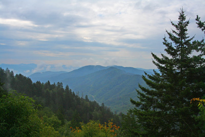 newfound gap The Smokies were cool and overcast this weekend; perfect fishing conditions for fishing. We went another direction.