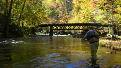Shuler Pelham fishes Little River near Elkmont