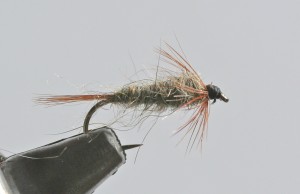 February's Fly of the Month is the Pat's Nymph