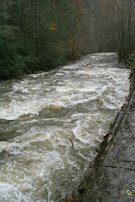 Last week during the high water