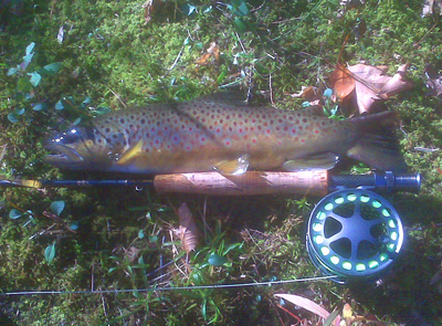 LittleRiverBrown2 LittleRiverBrown2