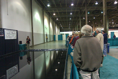 Charity's Casting Program was well attended on Friday morning