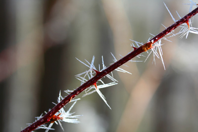 You have to see things up close to really appreciate how pretty it is