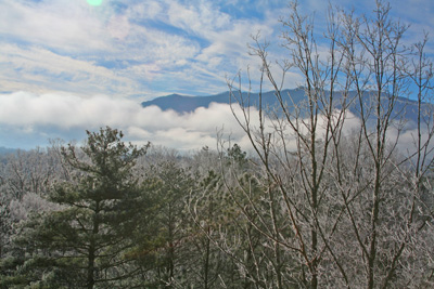 The view out back 