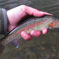 Late Fall rainbow from the Smokies Late Fall rainbow from the Smokies