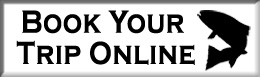 Book Now Book Your Trip Online